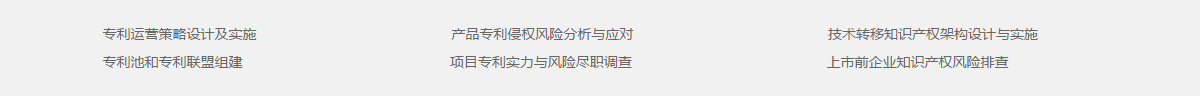 高价值专利运营板块的核心业务包括